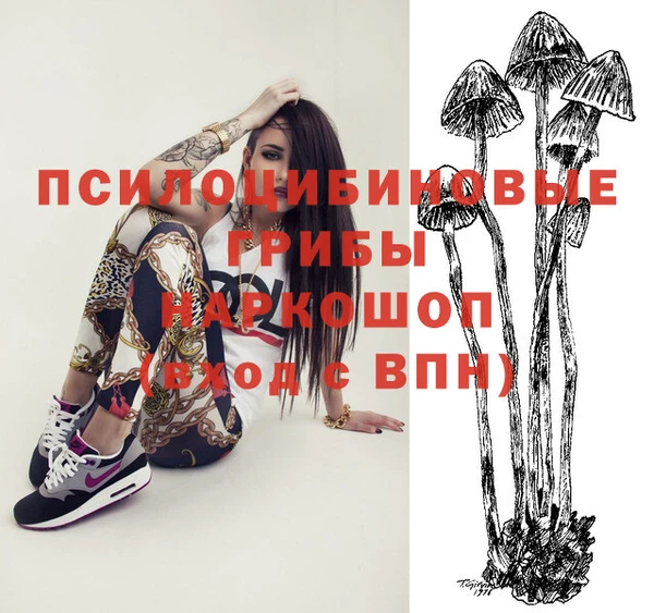 индика Арсеньев